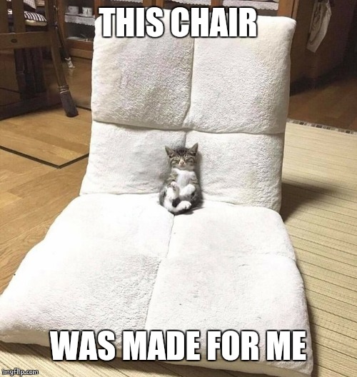 CATS CHAIR NOW | THIS CHAIR; WAS MADE FOR ME | image tagged in funny cats,cats | made w/ Imgflip meme maker