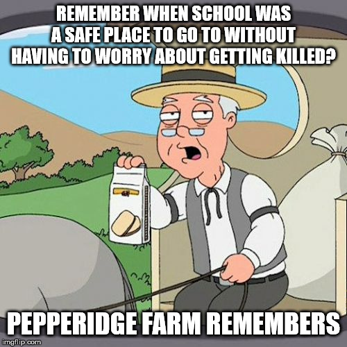Pepperidge Farm Remembers Meme | REMEMBER WHEN SCHOOL WAS A SAFE PLACE TO GO TO WITHOUT HAVING TO WORRY ABOUT GETTING KILLED? PEPPERIDGE FARM REMEMBERS | image tagged in memes,pepperidge farm remembers | made w/ Imgflip meme maker