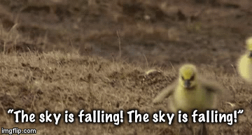 “The sky is falling! The sky is falling!” | image tagged in gifs | made w/ Imgflip video-to-gif maker