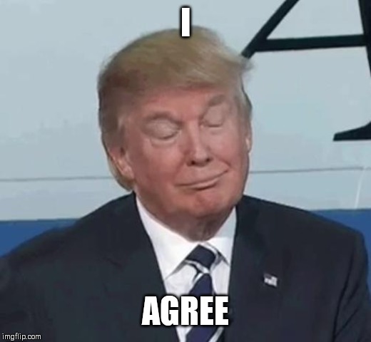 Trump Nod | I AGREE | image tagged in trump nod | made w/ Imgflip meme maker