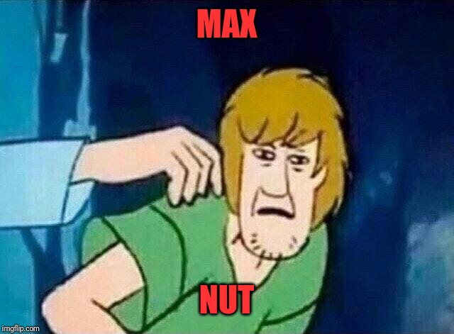 Scooby Doo Shaggy  | MAX; NUT | image tagged in scooby doo shaggy | made w/ Imgflip meme maker