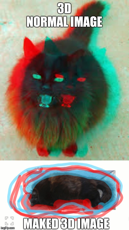 3D meow! | 3D NORMAL IMAGE; MAKED 3D IMAGE | image tagged in impressao 3d,3d,cats | made w/ Imgflip meme maker