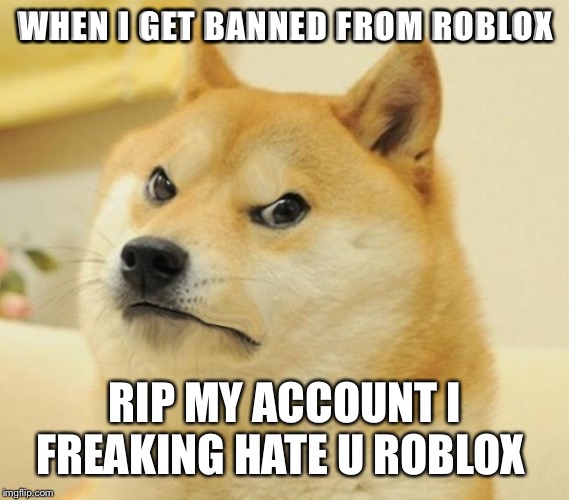 Mad doge | WHEN I GET BANNED FROM ROBLOX; RIP MY ACCOUNT I FREAKING HATE U ROBLOX | image tagged in mad doge | made w/ Imgflip meme maker