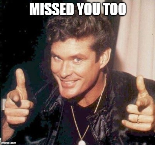 The Hoff thinks your awesome | MISSED YOU TOO | image tagged in the hoff thinks your awesome | made w/ Imgflip meme maker