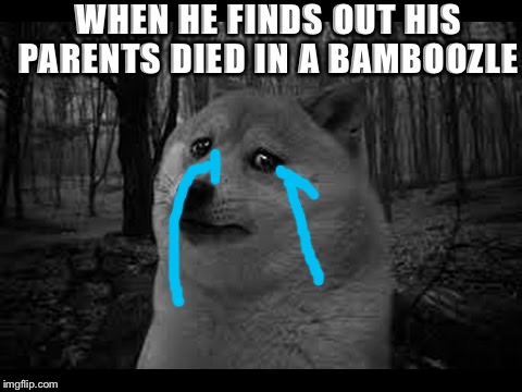 Very sad doge | WHEN HE FINDS OUT HIS PARENTS DIED IN A BAMBOOZLE | image tagged in very sad doge | made w/ Imgflip meme maker