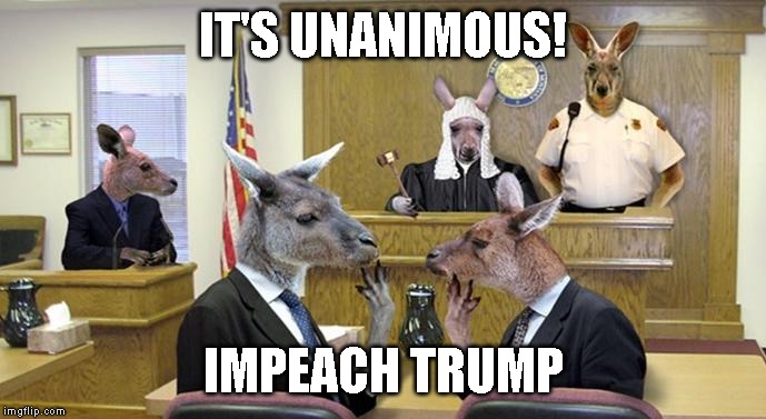Trump is Held in Contempt for Insulting Kangaroos | IT'S UNANIMOUS! IMPEACH TRUMP | image tagged in impeach trump,impeach,impeachment,trump impeachment | made w/ Imgflip meme maker