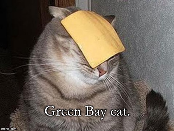Cats with cheese | Green Bay cat. | image tagged in cats with cheese | made w/ Imgflip meme maker
