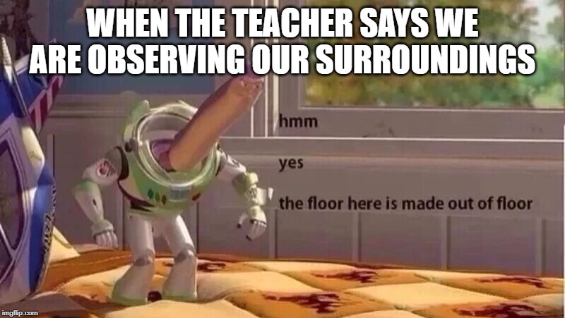happened in class | WHEN THE TEACHER SAYS WE ARE OBSERVING OUR SURROUNDINGS | image tagged in hmmm yes | made w/ Imgflip meme maker