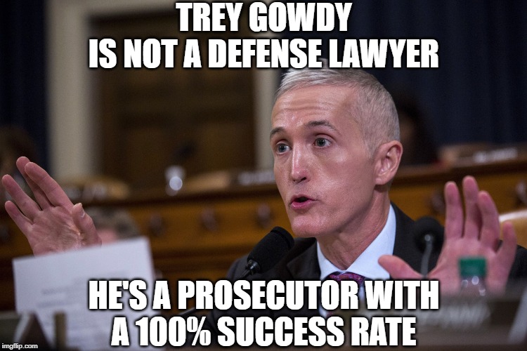 Trey Gowdy | TREY GOWDY
IS NOT A DEFENSE LAWYER; HE'S A PROSECUTOR WITH
A 100% SUCCESS RATE | image tagged in trey gowdy | made w/ Imgflip meme maker