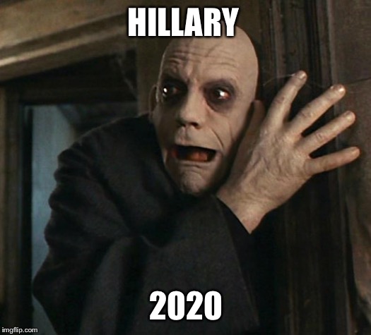 Fact Fear Fester | HILLARY; 2020 | image tagged in fact fear fester | made w/ Imgflip meme maker