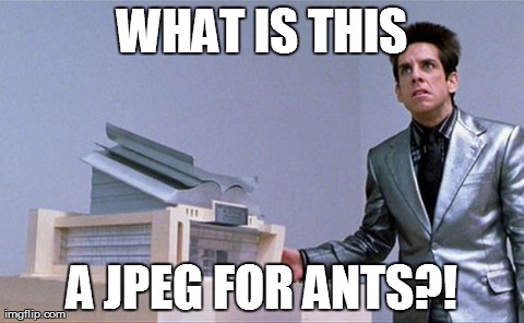 Ants | WHAT IS THIS A JPEG FOR ANTS?! | image tagged in ants | made w/ Imgflip meme maker