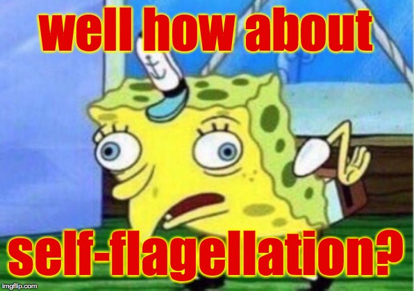Mocking Spongebob Meme | well how about self-flagellation? | image tagged in memes,mocking spongebob | made w/ Imgflip meme maker