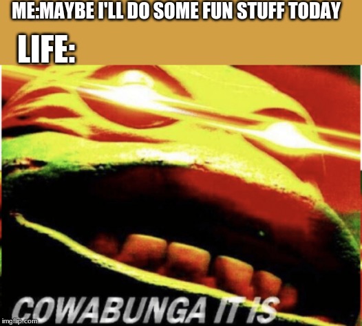 ME:MAYBE I'LL DO SOME FUN STUFF TODAY; LIFE: | image tagged in cowabunga it is | made w/ Imgflip meme maker
