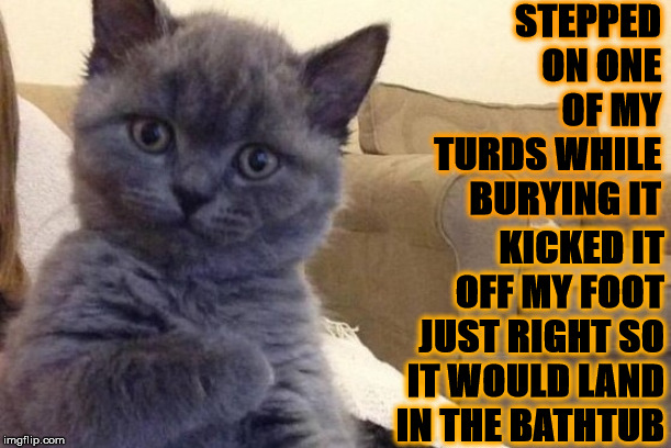 SUCCESS CAT | STEPPED ON ONE OF MY TURDS WHILE BURYING IT; KICKED IT OFF MY FOOT JUST RIGHT SO IT WOULD LAND IN THE BATHTUB | image tagged in success cat | made w/ Imgflip meme maker