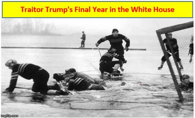 Trump's FINAL Year CHAOS | image tagged in trump's final year chaos | made w/ Imgflip meme maker