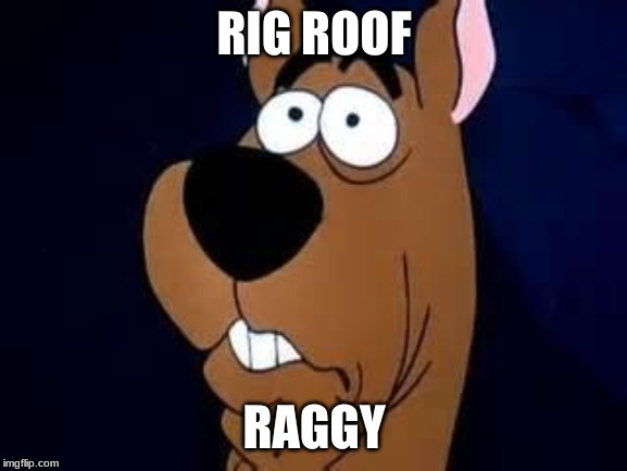 Scooby Doo Surprised | RIG ROOF; RAGGY | image tagged in scooby doo surprised | made w/ Imgflip meme maker