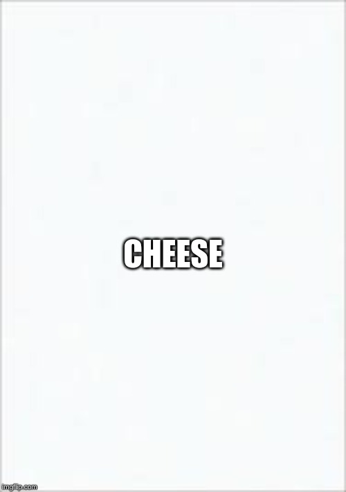 CHEESE | image tagged in views | made w/ Imgflip meme maker