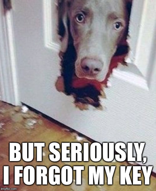 BUT SERIOUSLY, I FORGOT MY KEY | made w/ Imgflip meme maker