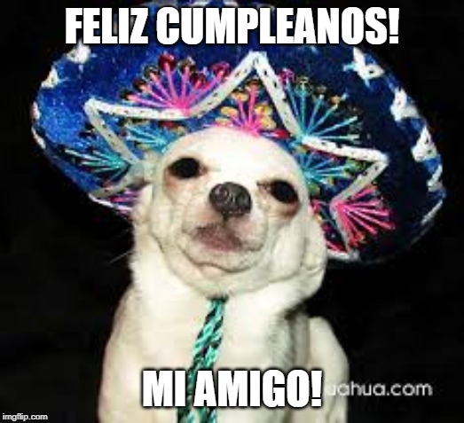 FELIZ CUMPLEANOS! MI AMIGO! | image tagged in birthday dog,spanish | made w/ Imgflip meme maker