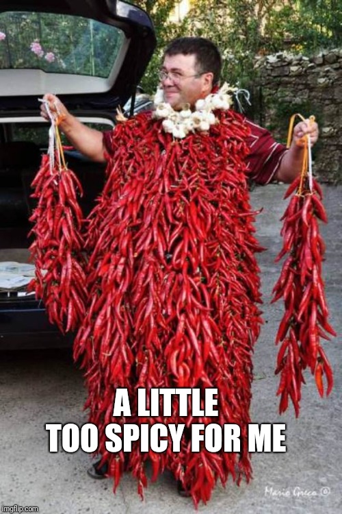 spicy | A LITTLE TOO SPICY FOR ME | image tagged in spicy | made w/ Imgflip meme maker