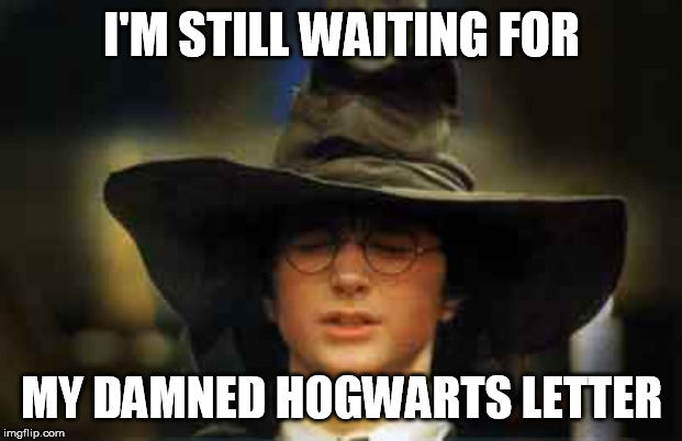 Harry Potter sorting hat | I'M STILL WAITING FOR MY DAMNED HOGWARTS LETTER | image tagged in harry potter sorting hat | made w/ Imgflip meme maker