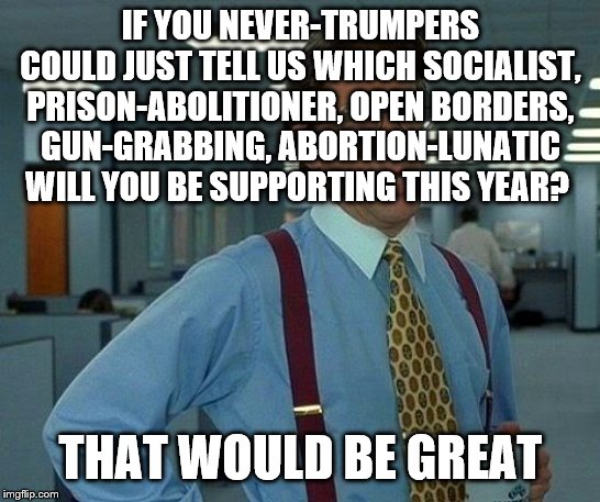 That Would Be Great Meme | IF YOU NEVER-TRUMPERS COULD JUST TELL US WHICH SOCIALIST, PRISON-ABOLITIONER, OPEN BORDERS, GUN-GRABBING, ABORTION-LUNATIC WILL YOU BE SUPPORTING THIS YEAR? THAT WOULD BE GREAT | image tagged in memes,that would be great | made w/ Imgflip meme maker