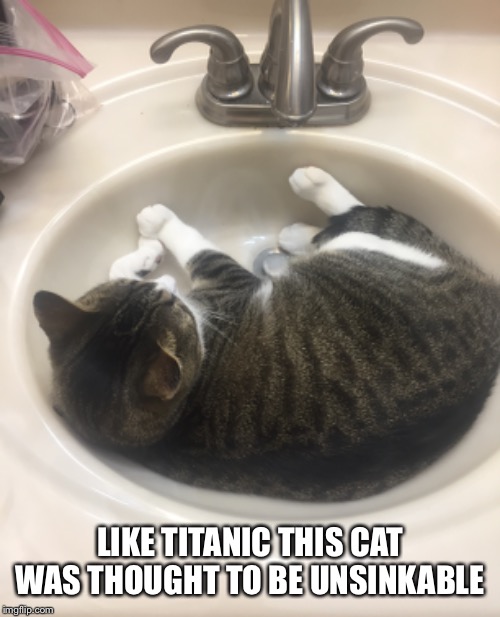 A “Nittany” Line | LIKE TITANIC THIS CAT WAS THOUGHT TO BE UNSINKABLE | image tagged in titanic,cat,sink,unsinkable,nittany | made w/ Imgflip meme maker