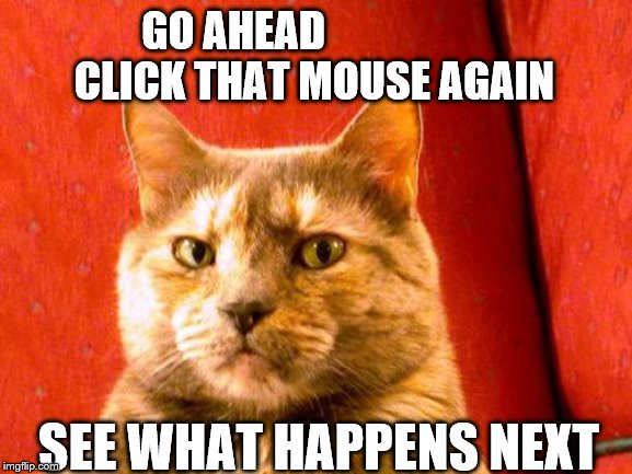 you're on my last whisker | GO AHEAD                  
 CLICK THAT MOUSE AGAIN; SEE WHAT HAPPENS NEXT | image tagged in memes,cat meme | made w/ Imgflip meme maker