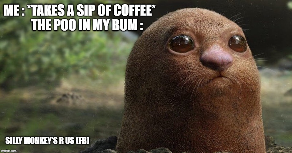 Silly Monkey's R Us | ME : *TAKES A SIP OF COFFEE* 
      THE POO IN MY BUM :; SILLY MONKEY'S R US (FB) | image tagged in silly monkey's r us | made w/ Imgflip meme maker