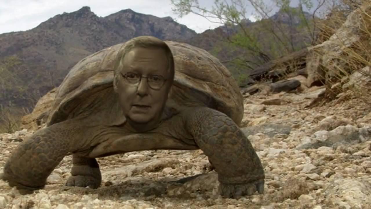 "turtle" Meme Templates - Imgflip