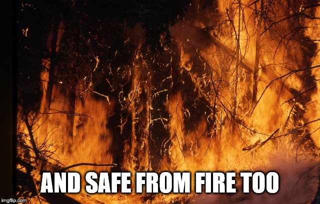 fire rainforest | AND SAFE FROM FIRE TOO | image tagged in fire rainforest | made w/ Imgflip meme maker