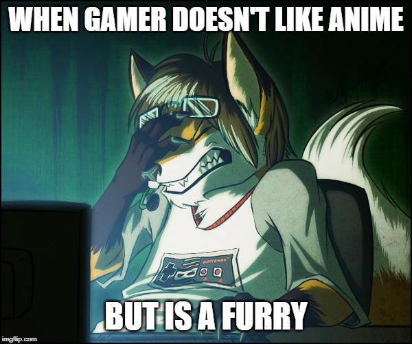 Furry facepalm | WHEN GAMER DOESN'T LIKE ANIME; BUT IS A FURRY | image tagged in furry facepalm | made w/ Imgflip meme maker