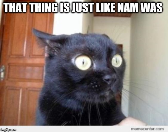 Scared Cat | THAT THING IS JUST LIKE NAM WAS | image tagged in scared cat | made w/ Imgflip meme maker