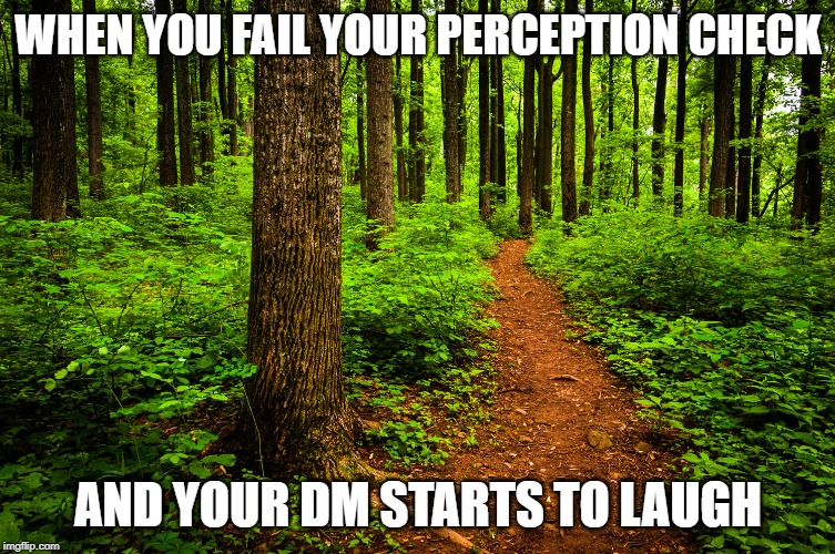 forest path | WHEN YOU FAIL YOUR PERCEPTION CHECK; AND YOUR DM STARTS TO LAUGH | image tagged in forest path,dungeons and dragons,sneak attack | made w/ Imgflip meme maker