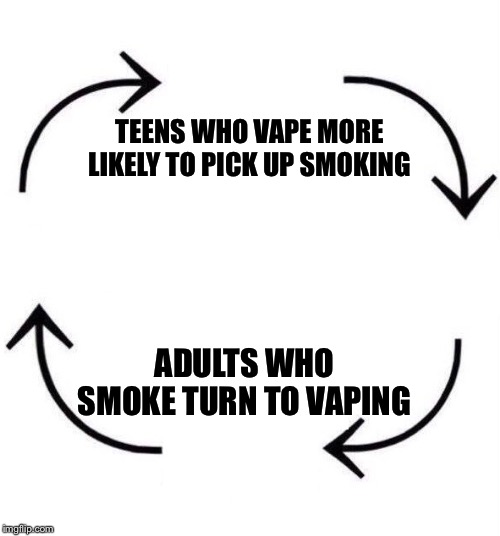 the circle of life | TEENS WHO VAPE MORE LIKELY TO PICK UP SMOKING; ADULTS WHO SMOKE TURN TO VAPING | image tagged in the circle of life | made w/ Imgflip meme maker
