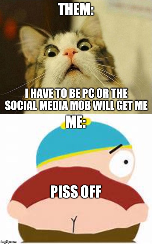 THEM:; I HAVE TO BE PC OR THE SOCIAL MEDIA MOB WILL GET ME; ME:; PISS OFF | image tagged in memes,scared cat,eric cartman | made w/ Imgflip meme maker
