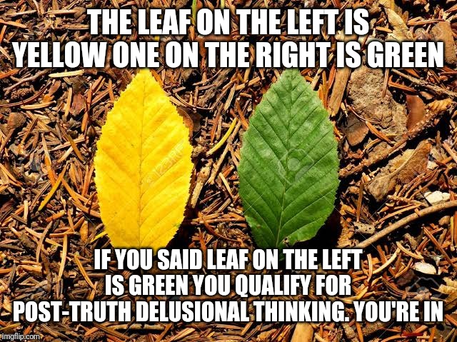 Green v yellow | THE LEAF ON THE LEFT IS YELLOW ONE ON THE RIGHT IS GREEN; IF YOU SAID LEAF ON THE LEFT IS GREEN YOU QUALIFY FOR POST-TRUTH DELUSIONAL THINKING. YOU'RE IN | image tagged in truth | made w/ Imgflip meme maker