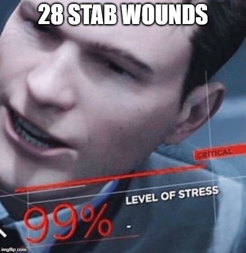 Level of stress | 28 STAB WOUNDS | image tagged in level of stress | made w/ Imgflip meme maker