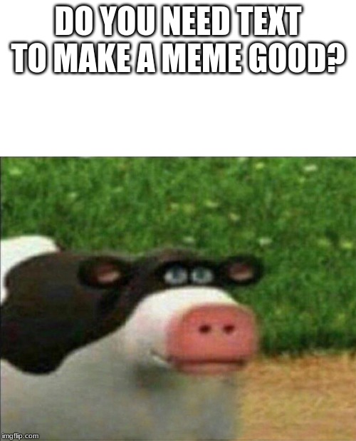 Perhaps cow | DO YOU NEED TEXT TO MAKE A MEME GOOD? | image tagged in perhaps cow | made w/ Imgflip meme maker