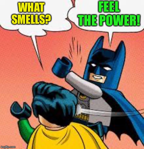 lego batman slapping robin | WHAT SMELLS? FEEL THE POWER! | image tagged in lego batman slapping robin | made w/ Imgflip meme maker