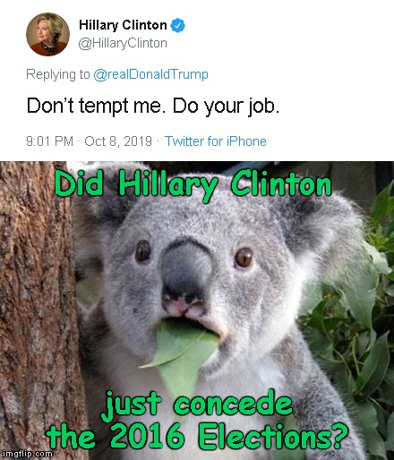 About Time! | Did Hillary Clinton; just concede the 2016 Elections? | image tagged in stunned koala,memes,hillary clinton,do your job | made w/ Imgflip meme maker