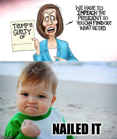 They’ve been obsessed with this for the last 3 years | NAILED IT | image tagged in success kid / nailed it kid,trump,pelosi,impeach | made w/ Imgflip meme maker
