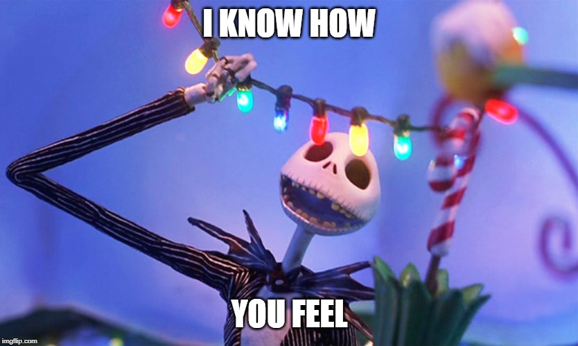 Nightmare before Christmas | I KNOW HOW YOU FEEL | image tagged in nightmare before christmas | made w/ Imgflip meme maker