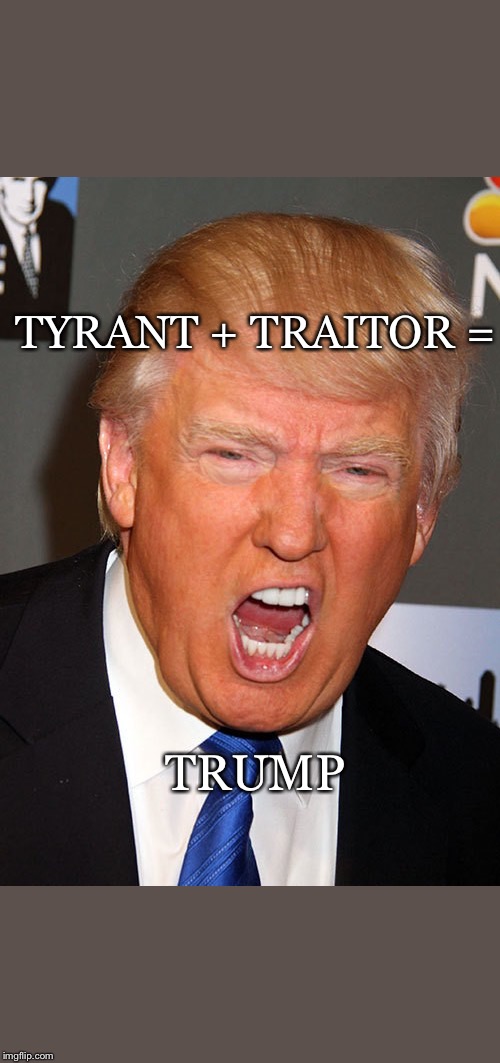 Tyrant + Traitor | TYRANT + TRAITOR =; TRUMP | image tagged in donald trump,impeach,trump traitor,tyrant | made w/ Imgflip meme maker