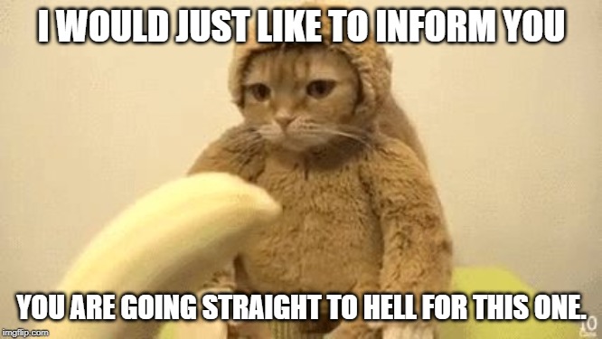 Monkey Cat | I WOULD JUST LIKE TO INFORM YOU; YOU ARE GOING STRAIGHT TO HELL FOR THIS ONE. | image tagged in monkey cat | made w/ Imgflip meme maker