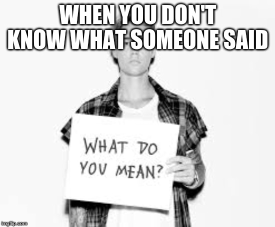 WHEN YOU DON'T KNOW WHAT SOMEONE SAID | made w/ Imgflip meme maker