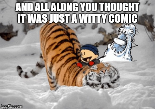 Witty Calvin and Hobbes | AND ALL ALONG YOU THOUGHT IT WAS JUST A WITTY COMIC | image tagged in calvin and hobbes,funny cat memes | made w/ Imgflip meme maker