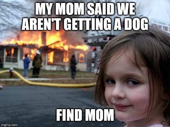 Disaster Girl | MY MOM SAID WE AREN'T GETTING A DOG; FIND MOM | image tagged in memes,disaster girl | made w/ Imgflip meme maker