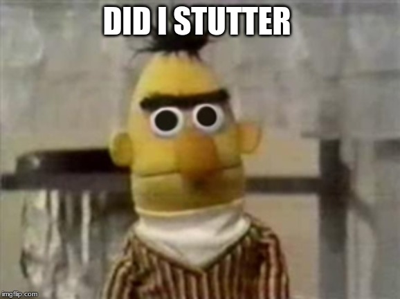 bert muppet what did i just see | DID I STUTTER | image tagged in bert muppet what did i just see | made w/ Imgflip meme maker