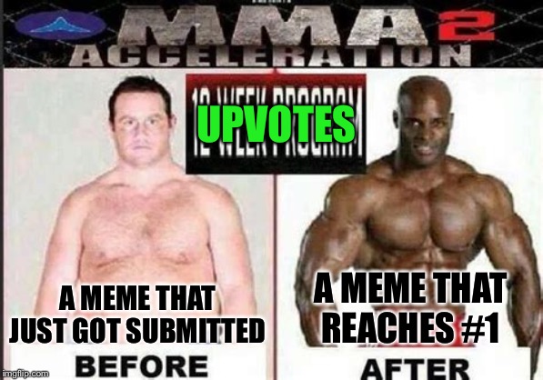 MMA2 Acceleration 12-Week Program before & after seems legit | UPVOTES; A MEME THAT JUST GOT SUBMITTED; A MEME THAT REACHES #1 | image tagged in mma2 acceleration 12-week program before  after seems legit | made w/ Imgflip meme maker